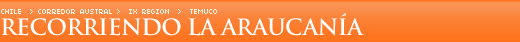 Recorriendo la Araucan�a
