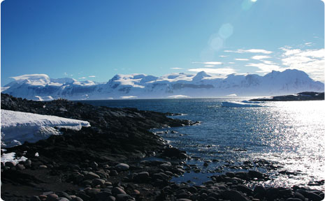 Scientific Development in Antarctica