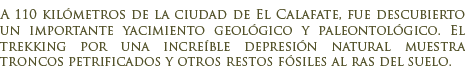 Bosque Petrificado La Leona en El Calafate
