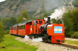 The Prisoners' Train