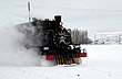Antiguo tren La Trochita