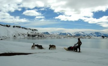 Dog sled rides at Caviahue