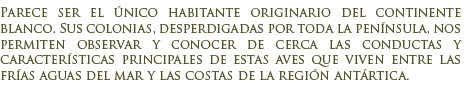 Ping�inos en la Ant�rtida