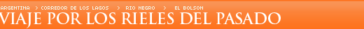 Viaje por los rieles del pasado