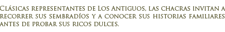 Chacras productivas en Los Antiguos