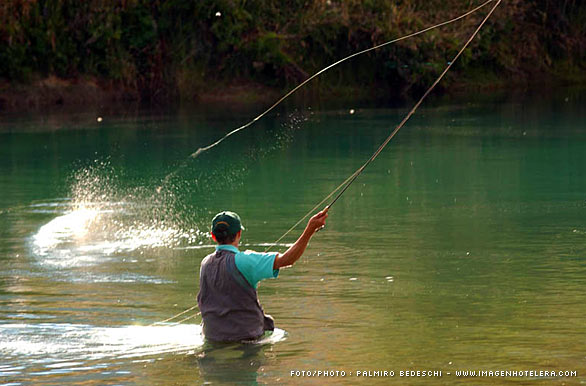 Pique - Pesca con mosca en Patagonia