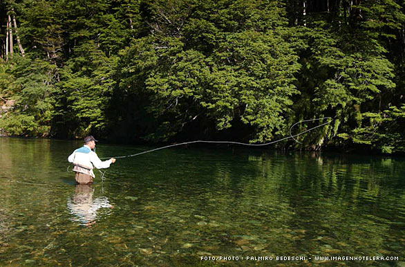 Mosqueando - Pesca con mosca en Patagonia