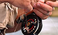 The Fly Reel