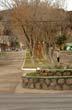Bulevar - Photo: Jorge Gonz�lez
