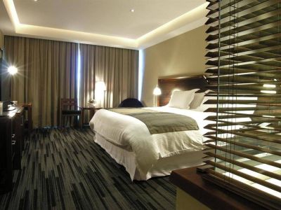 Hoteles 5 estrellas Dreams Pedro de Valdivia