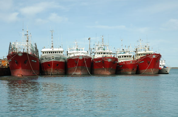 Flota pesquera - Puerto Deseado