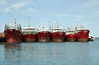 Flota pesquera - Photo: Jorge Gonz�lez