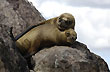 �Juntos, siempre! - Photo: Palmiro Bedeschi