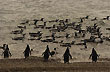 A toda carrera - Photo: Palmiro Bedeschi
