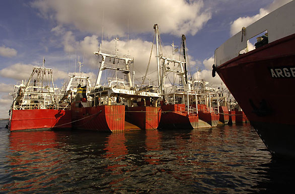 Barcos en el puerto - Puerto Deseado