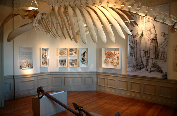 El Museo Oceanogrfico - Puerto Madryn