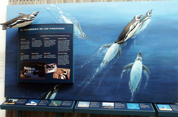 Museo Oceanofrfico - Puerto Madryn