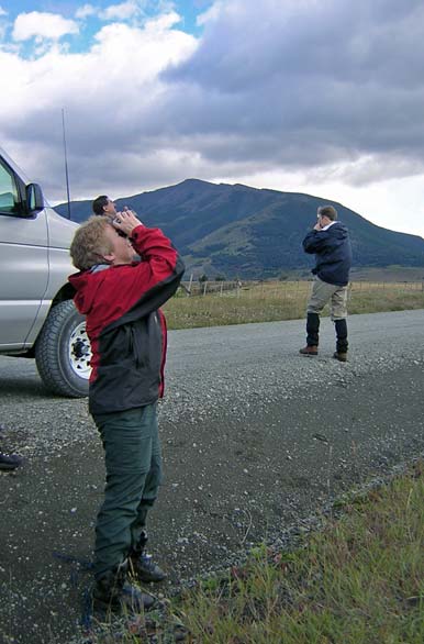 Avistaje de avifauna - Puerto Natales