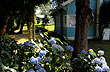 Azules y verdes en Puerto Octay - Foto: Eduardo Epifanio Azules y verdes en Puerto Octay - Foto: Eduardo Epifanio