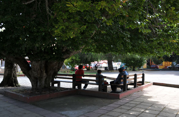Plaza en Puerto Octay - Puerto Octay