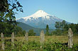 Vista del Volcán Osorno - Foto: Cristina Sabaliauskas Vista del Volcán Osorno - Foto: Cristina Sabaliauskas
