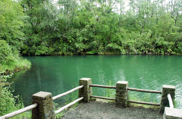 Mirador en Laguna verde - Puerto Varas