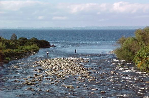 Ro Pescado - Puerto Varas