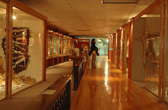 3 nivel del museo Borbatello - Punta Arenas