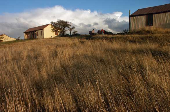 Vida rural - Punta Arenas
