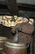 Tareas en la bodega - Foto: Jorge Gonz�lez