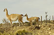 Madre e hijo - Foto: Palmiro Bedeschi