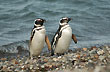 D�a de playa - Foto: Jorge Gonz�lez