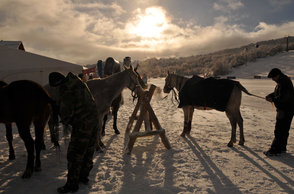 Preparativos para jugar al polo en Chapelco - San Martn de los Andes