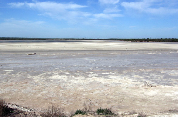 Laguna del Parque Luro - Santa Rosa