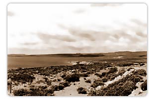 Lago Musters
