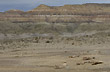 Bosque y montañas - Foto: Palmiro Bedeschi Bosque y montañas - Foto: Palmiro Bedeschi