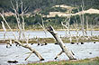 Troncos sobre Río Turbio - Photo: Karina Jozami Troncos sobre Río Turbio - Photo: Karina Jozami