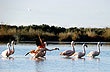 Laguna del Ornit�logo - Foto: Santiago J.Guti�rrez - Entretur