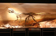  Museo Egidio Feruglio - Foto: Jorge Gonz�lez
