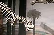 Gigantes prehist�ricos - Foto: Jorge Gonz�lez