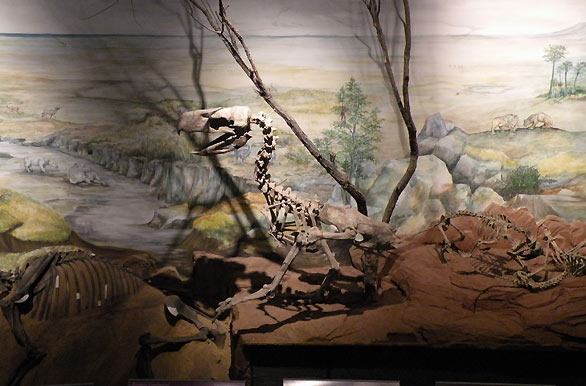 Museo Paleontolgico Egidio Feruglio - Trelew