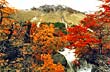 Parque Nacional los Alerces - Photo: Dirección de Turismo de Trevelin Parque Nacional los Alerces - Photo: Dirección de Turismo de Trevelin