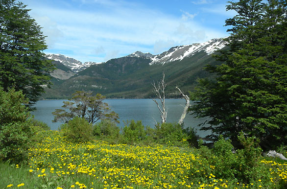 Lago Escondido - Ushuaia