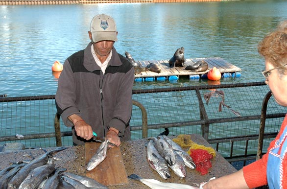 Pintoresco mercado fluvial - Valdivia
