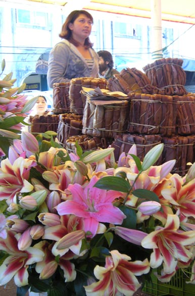 Flores en el mercado fluvial - Valdivia
