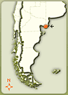 Viedma