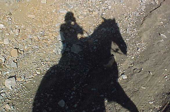 Horse shadows - Villa La Angostura