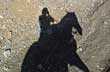 Horse shadows - Photo: Marcelo Sola Horse shadows - Photo: Marcelo Sola