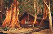 A little fairy tale house, Los Arrayanes, Quetriué Peninsula - Photo: Interpatagonia.com A little fairy tale house, Los Arrayanes, Quetriué Peninsula - Photo: Interpatagonia.com