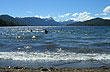 Lake Espejo, Andean Patagonia - Photo: Jorge González Lake Espejo, Andean Patagonia - Photo: Jorge González